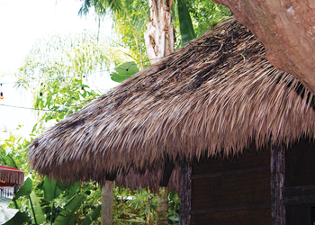 Caribbean Thatched Roofing