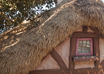 European Thatched Roofing