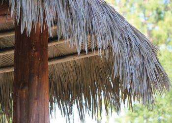 Palm Thatched Roofing