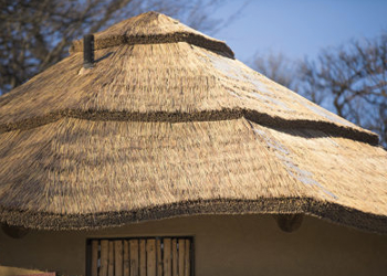 South African Thatched Roof