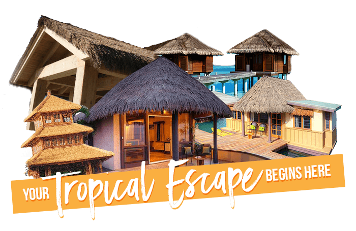 Your Tropical Escape Begins Here!